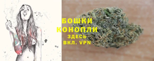 ПСИЛОЦИБИНОВЫЕ ГРИБЫ Балабаново