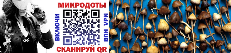 купить наркотики сайты  Шуя  Галлюциногенные грибы мицелий 